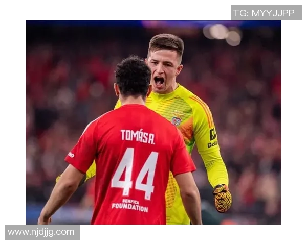 西甲精彩对决本菲卡与拜仁战成平局十大进球瞬间引爆全场激情